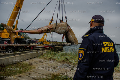 Port Wojenny na Helu. Akcja podnoszenia i transportu,...