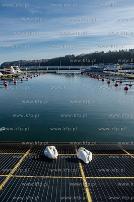 Gdynia.  Pierwszy prawdziwie wiosenny, sloneczy i cieply...