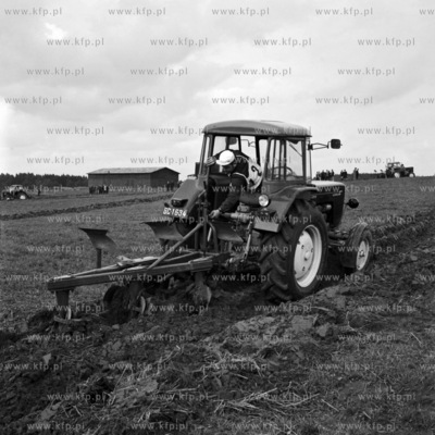 XV Krajowy Konkurs Orki na polach PGR Górki pod Kwidzynem....