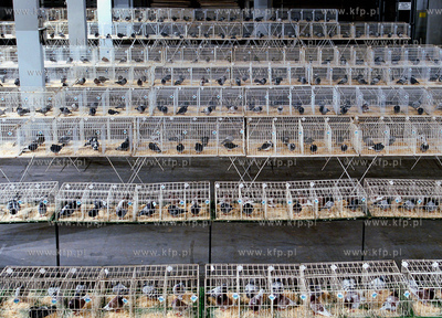 W dniach 5-7 stycznia w halach wystawienniczych Miedzynarodowych...