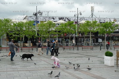Deszcz  i chlodna pogoda spowodowala opustoszenie Sopotu....