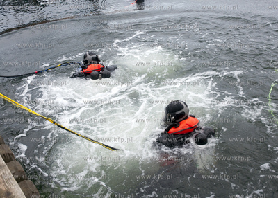 Dzien Eko Nurkowy zorganizowany w Gdyni zgromadzil...