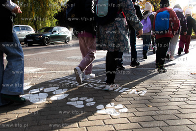 Akcja "Bezpieczeństwo z Lwem Pruszkiem na przejściach...