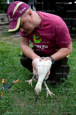 Jak co roku pracownicy Grupy ENERGA wraz z ornitologami...