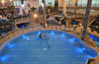 Otwarcie Aquaparku Reda w Redzie. Atrakcją jest akwarium,...