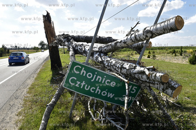 Rytel. Skutki wichury na Pomorzu. Znak drogowy przywalony...