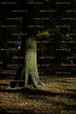 Gdansk. Park Przymorze.
17.10.2012
fot. Krzysztof...