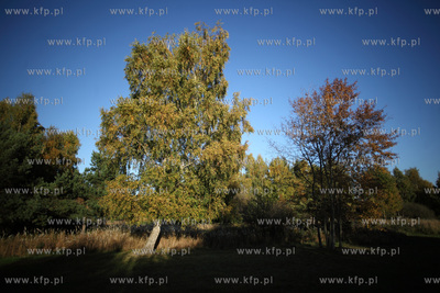 Gdansk. Park Ronalda Reagana.
17.10.2012
fot. Krzysztof...