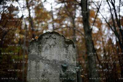 Sopot. Zydowski cmentarz.
24.10.2012
fot. Krzysztof...