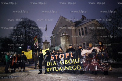 Manifestacja młodziezowki Ruchu Palikota, Partii Zieloni...