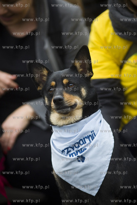 Spacer podopiecznych gdańskiego schroniska Promyk...