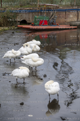 Nietypowa łódź zacumowana w Stoczni Cesarskiej w...