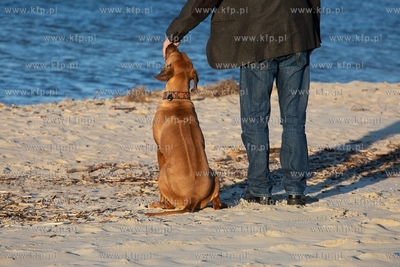 Plaża w Krynicy Morskiej. 16.02.2019 / Fot. Anna Rezulak...