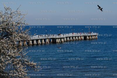 Molo Orłowskie. 18.04.2022 / fot.Anna Rezulak / KFP