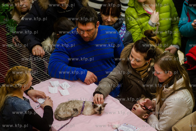 Gdansk. Wrzeszcz. Dzien Kota w CH Galeria Baltycka.
21.02.2016
fot....