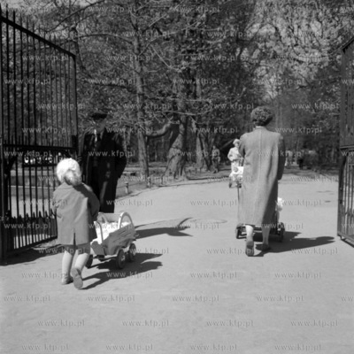 Wejście do parku w Gdańsku Oliwie. (lata60)
1960
0005535z
Fot....