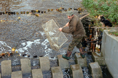 Smoldzino na przeplawce w elektrowni wodnej,  trwa...