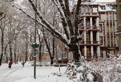 Zima w Gliwicach
13.12.2010
fot. Sebastian Elijasz...