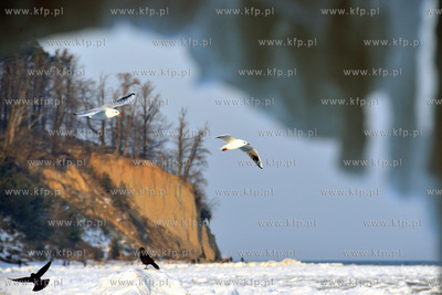 Zasniezona plaza w Gdyni Orlowie. Na drugim planie...