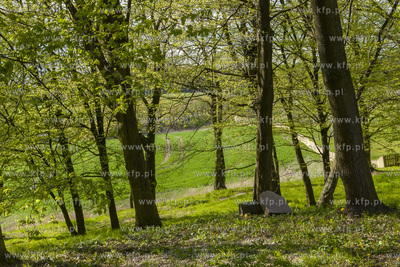 Podworski park w Arciszewie w Gminie Pruszcz Gdański....