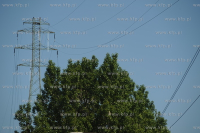 We wtorek do Stoczni Remontowej w Gdansku zostanie...