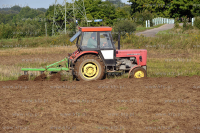 Orka na polu w Leznie na Kaszubach przy drodze w kierunku...