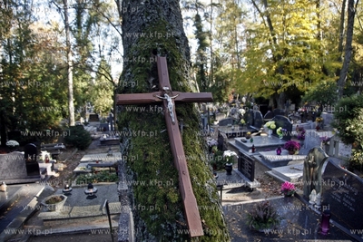 Cmentarz katolicki w Sopocie.
28.10.2014
fot. Krzysztof...