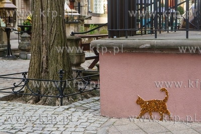 Bursztynowy kot przy ulicy Mariackiej w Gdańsku. autorstwa...