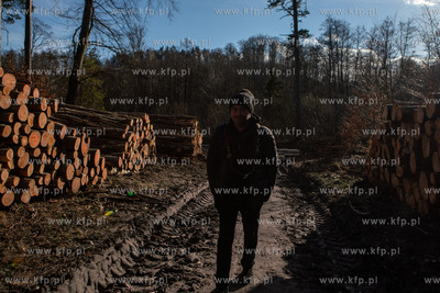Trójmiejski Park Krajobrazowy. Lasy Oliwskie. Nz....
