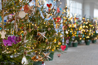 Sopot. Zapalenie światełek na ustrojonych przez dzieci...