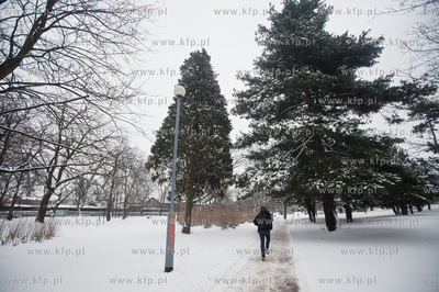 Gdansk. Park Stefensa wzdluz Al. Zwyciestwa.
20.03.2013
fot....