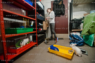 Sopockie Uszakowo - Centrum Adopcyjne Krolikow.
29.03.2013
fot....