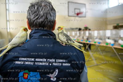 Zespol Szkol Rolniczych w Rusocinie. Wystawa Golebi...