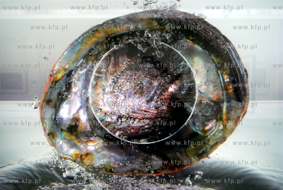 Ryszard Horowitz - FOTOKOMPOZYCJE - wystawa w galerii...