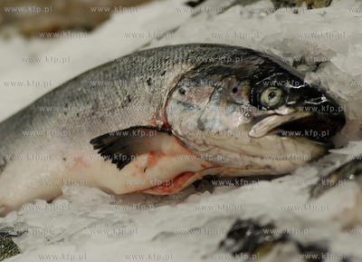 Hipermarket Port Rumia - Centrum Handlowe AUCHAN przy...