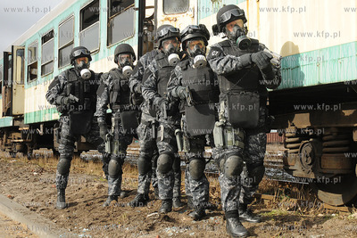 Wspolne cwiczenia antyterorystow, policji, strazy granicznej...