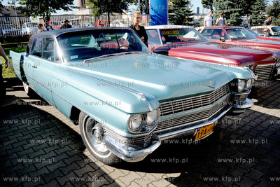 Trojmiejskie Targi Motoryzacyjne w halach wystawienniczych...