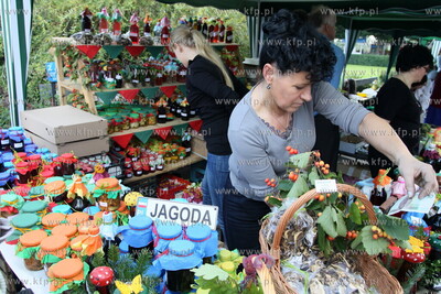 "Zwiedzaj swoj las"  Lesny Festyn Edukacyjny na Molo...