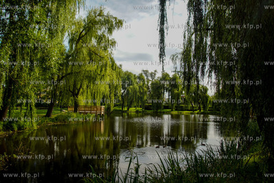 Gdańsk. Park Oruński. 10.08.2016 fot. Paweł Marcinko...
