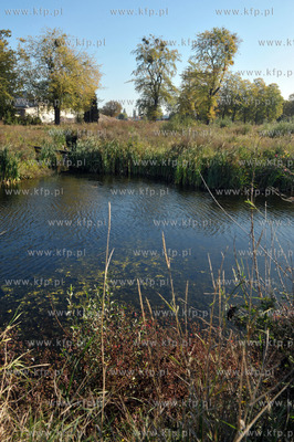Porosniete sitowiem zbiorniki wodne, brzegi z niedostepnymi...