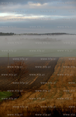 Poranna mgla nad polami w dolinie. Wies Zeblewo w gminie...