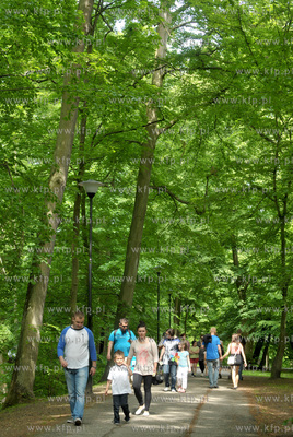 XV Wielki Festyn Rodzinny z okazji Dnia Dziecka w Parku...