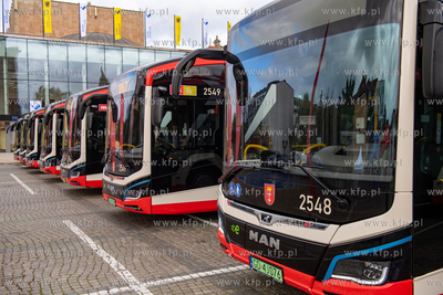 Targ Węglowy w Gdańsku. Piknik rodzinny podczas którego...