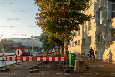 Budowa drogi rowerowej w ciągu ul. 3-go Maja na odcinku...