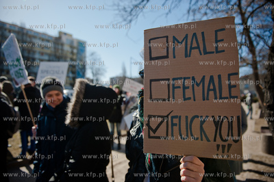 Gdynia. Trójmiejska Manifa 2012. Marsz zorganizowany...