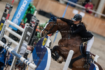 Hipodrom Sopot. Hala Pomarańczowa. Halowe Zawody w...