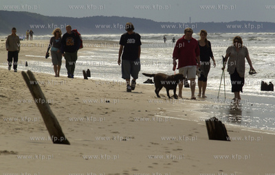 Rowy. Plaza dla psow. Specjalinie wyznaczony odcinek...