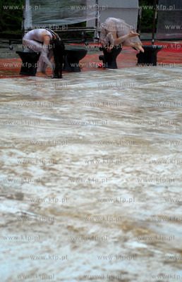 Gdansk. 12 Feta - Festiwal Teatrow Plenerowych i Ulicznych....