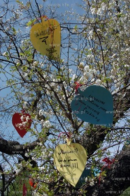 Mlodziez z roznych regionow Polski w miejscowosci Zagorzyczki...