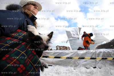 Gdynia, Bulwar Nadmorski. Festiwal rzezb lodowych....